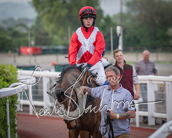 Race 5 - Mares Open Hunter Steeplechase 3m2f 70y (32 of 269)