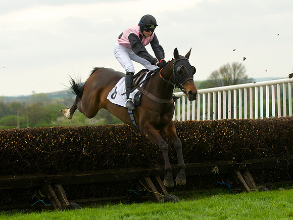 Race 4 - Nov-vets 28