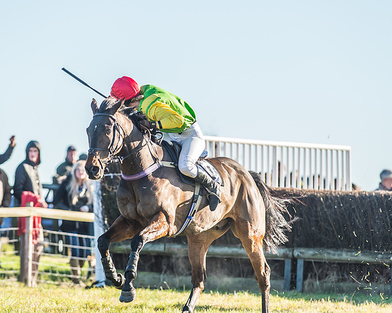 Race 1 - PPORA Novice Riders Race-57
