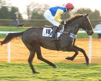 Race 8 - Restricted Race (7 of 40).jpg