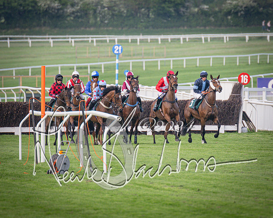 Race 5 - Mares Open Hunter Steeplechase 3m2f 70y (66 of 269)