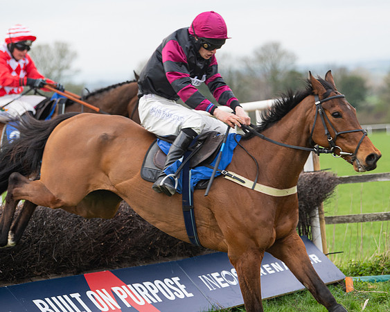 Race 6 - The Restricted Race (133 of 200)
