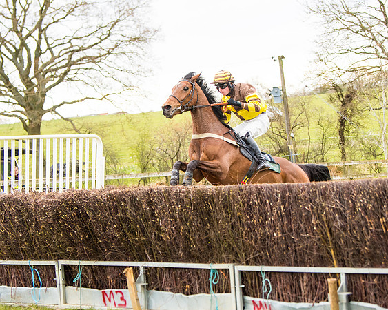 Race 6 - 6 year old and over Maiden 2m4f (30 of 62)