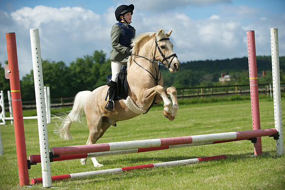 SOHS PC Summer Show at BCA 17th June 2012