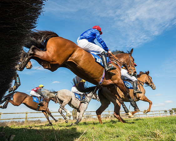 Race 1 - Open Maiden Division 2 (70 of 173)