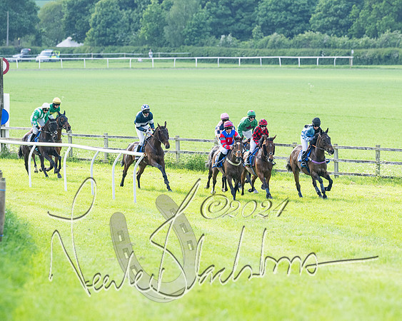 Race 5  - Maiden race 2m5F Div-2 (123 of 205)