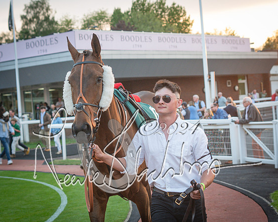 Race - 7 The Royal Gloucester Hussars Open Hunter's steeplechase 2m4f 127y (10 of 210)