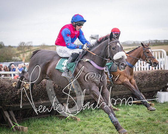Race 6 - The Restricted Race (58 of 101)