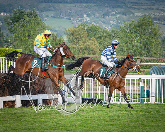 Race 4 - The Jonathan Neesom memorial open Hunter’s steeplechase 3m2f 70y (65 of 167)
