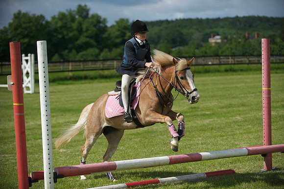 SOHS PC Summer Show at BCA 17th June 2012