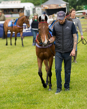 Pony Race 1  (22 of 125)