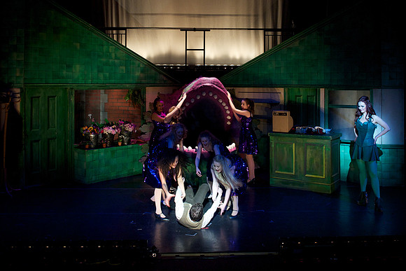 LSOH Act 2 - 136