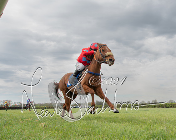 Pony Race 2 (55 of 84)-