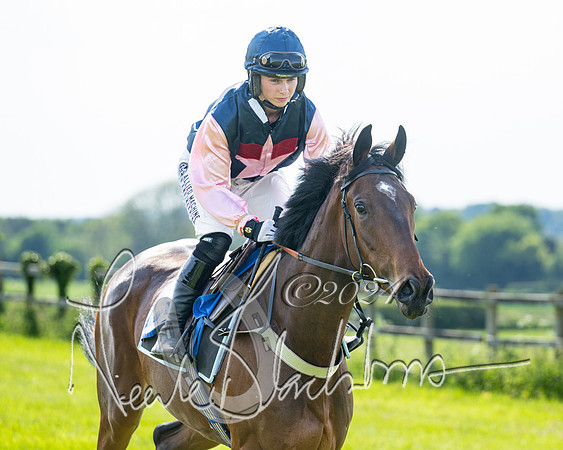Race 5  - Maiden race 2m5F Div-1 (50 of 197)