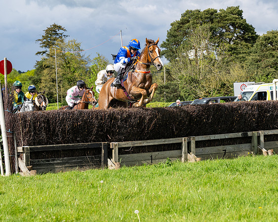 Race 5  - Maiden  (10 of 84)