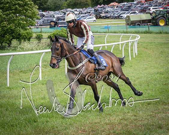 Race 1 - The owner-trainer Conditions race (23 of 118)