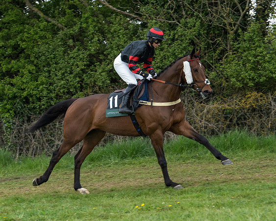 Race 6 - Restricted (93 of 173)