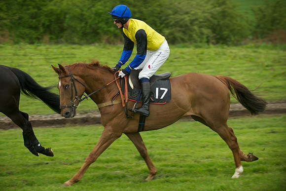 Race 7 - 2m4f Maiden 10