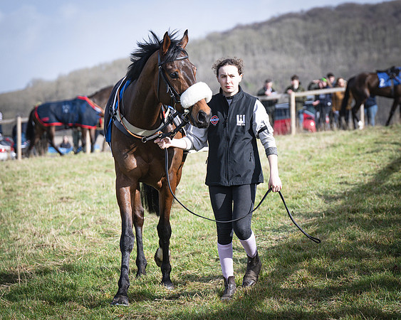 Race 1 - Four and Five year Old Maiden (10 of 137)