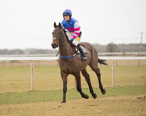 Race 4 - Ladies Open (19 of 85).jpg