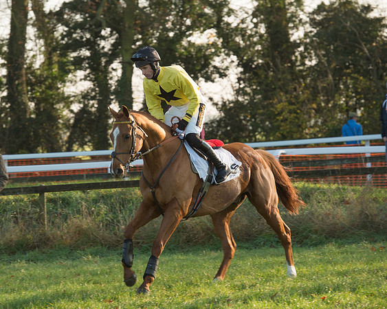 Race 1 - PPORA conditions 21