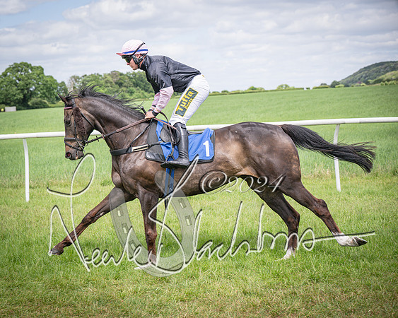 Race 1 - The owner-trainer Conditions race (33 of 118)