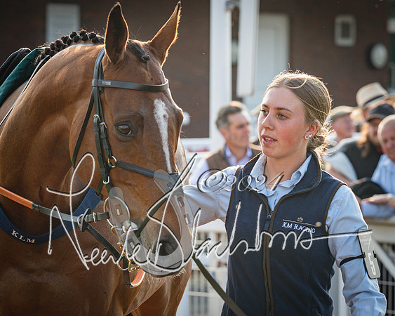 Race 4 - The Jonathan Neesom memorial open Hunter’s steeplechase 3m2f 70y (18 of 167)