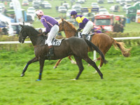 Old Berks at Lockinge PPORA novice and veteran riders race