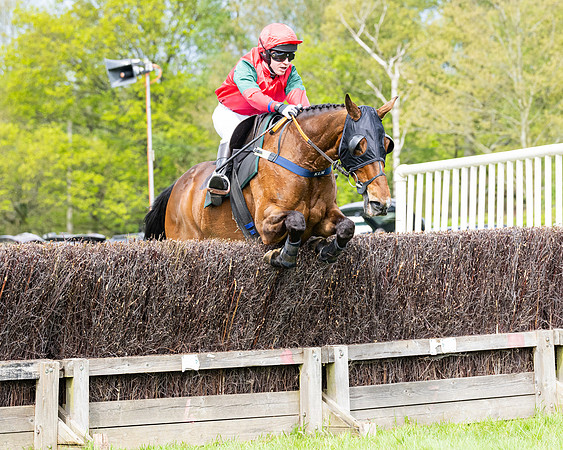 Race 2 - Veteran Horse (76 of 80)