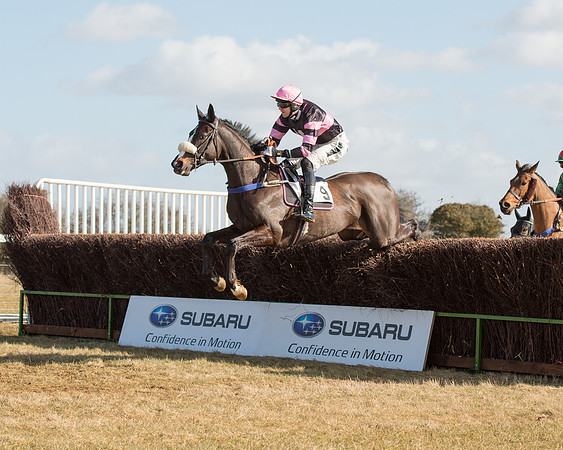 Race 1 - 4-5-6 Maiden (68 of 119).jpg