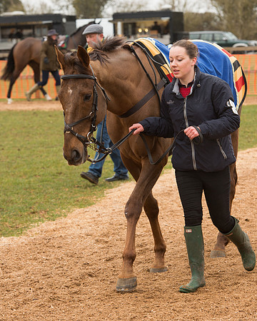 Race 6 - Open Maiden (32 of 120).jpg