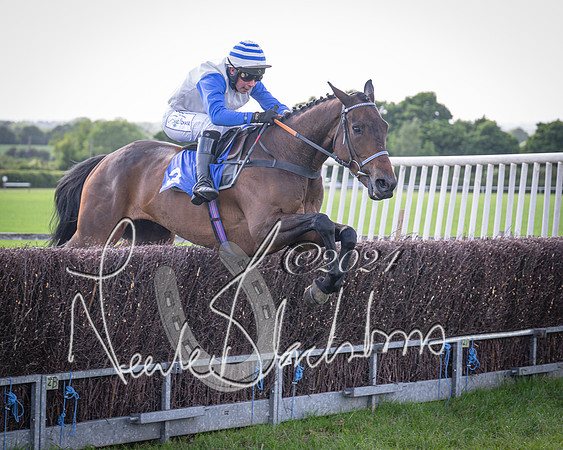 Race 6 - Thorn Plant Hire Maiden Race (86 of 129)