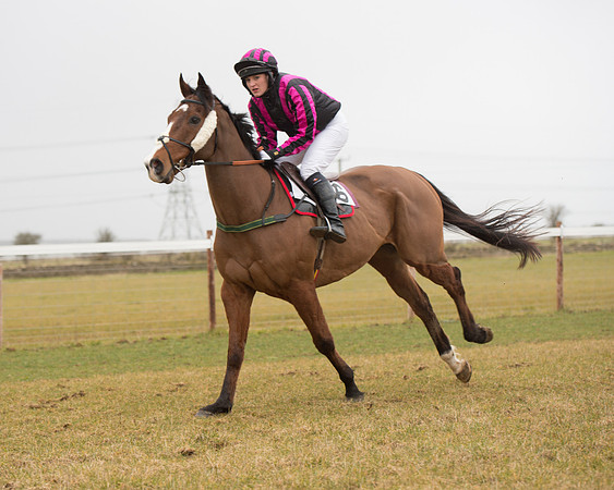 Race 6 - Open Maiden (72 of 120).jpg