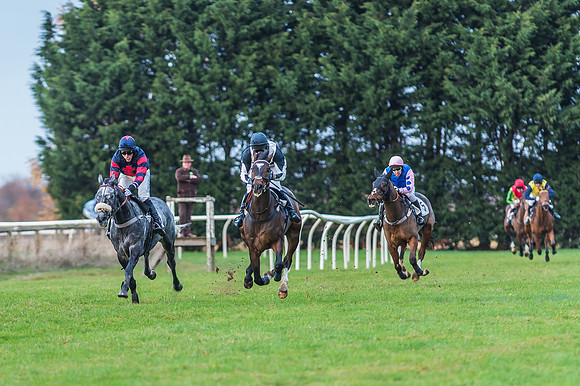 2 Mile 4 Furlong Maiden Race -24