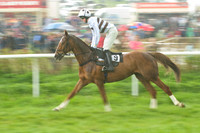 Old Berks at Lockinge PPORA novice and veteran riders race