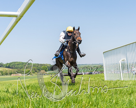 Pony Races  (36 of 141)