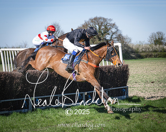 Race 6 - Veteran horse (82 of 109)