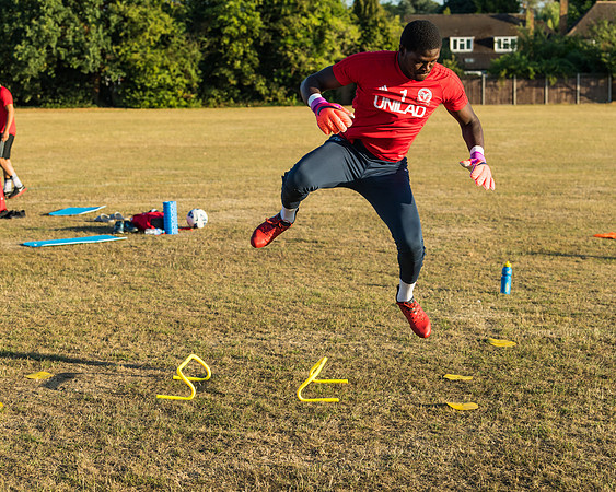 Training 3  (17 of 99)