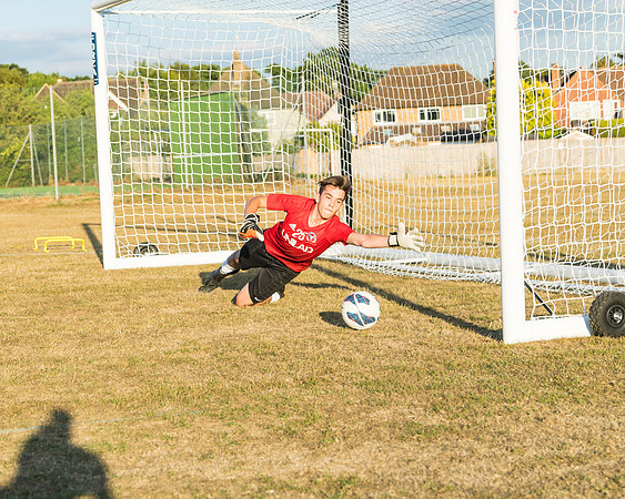Training 3  (25 of 99)