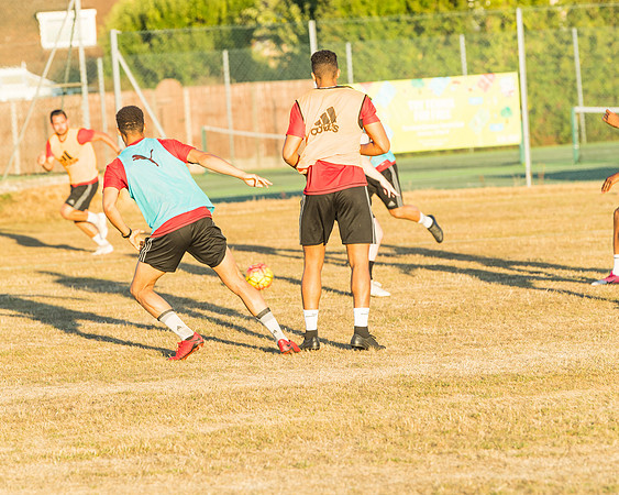 Training 3  (50 of 99)