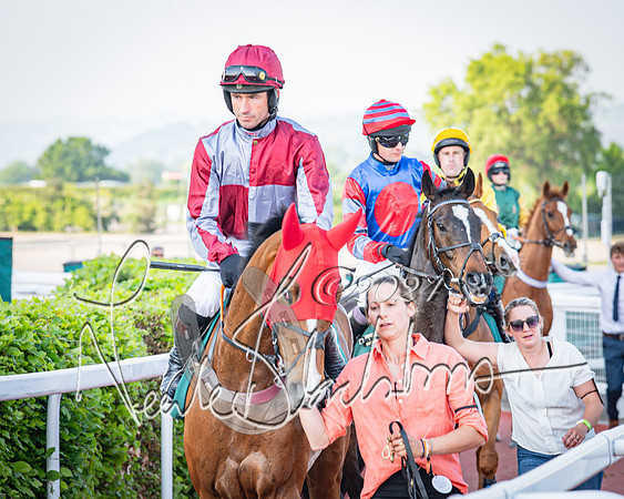 Race 3 - The Junior Jumpers open hunter's steeple chase 3m1f56y (33 of 156)