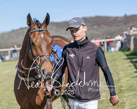Race 5 - The restricted (16 of 113)
