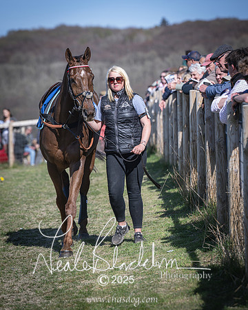 Race 6 - Veteran horse (11 of 109)