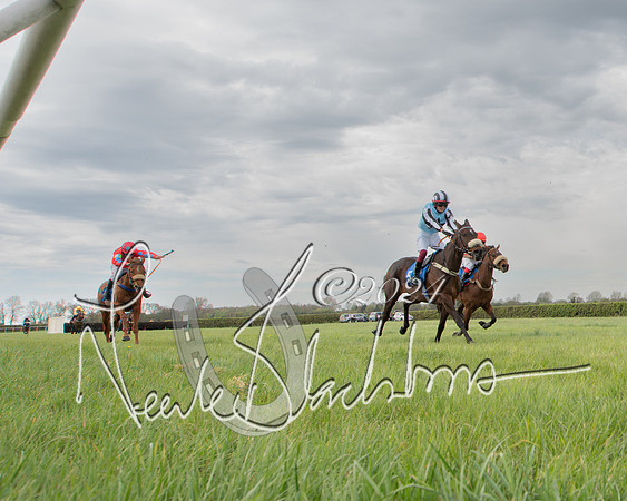 Pony Race 2 (47 of 84)-