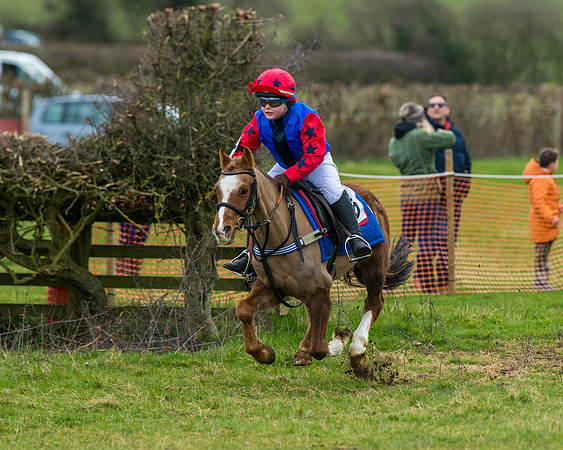 Pony Race 1 (48 of 101)