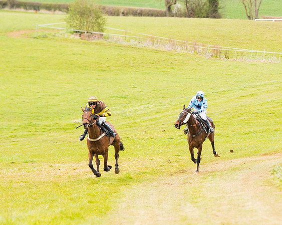 Race 6 - 6 year old and over Maiden 2m4f (24 of 62)
