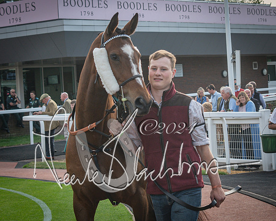 Race 5 - Mares Open Hunter Steeplechase 3m2f 70y (14 of 269)