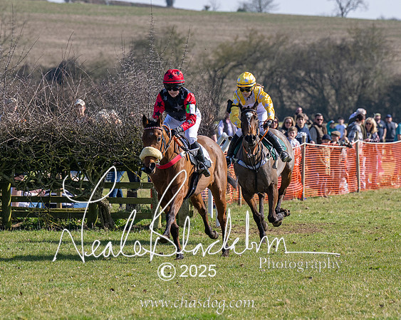 Pony Race 1 - Novice (5 of 38)