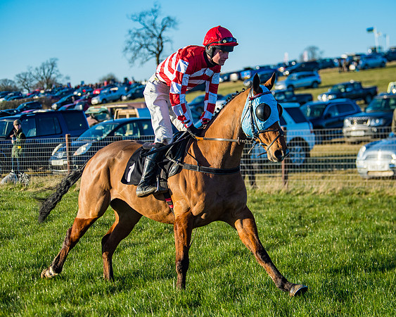 Race 7 - Maiden Division 2 (9 of 272)