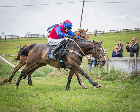 Race 2 - The Restricted race (57 of 84)